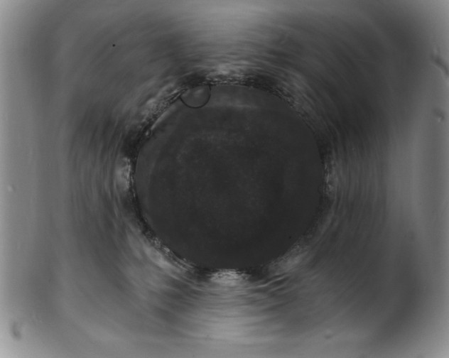 X0000102220231200808081323