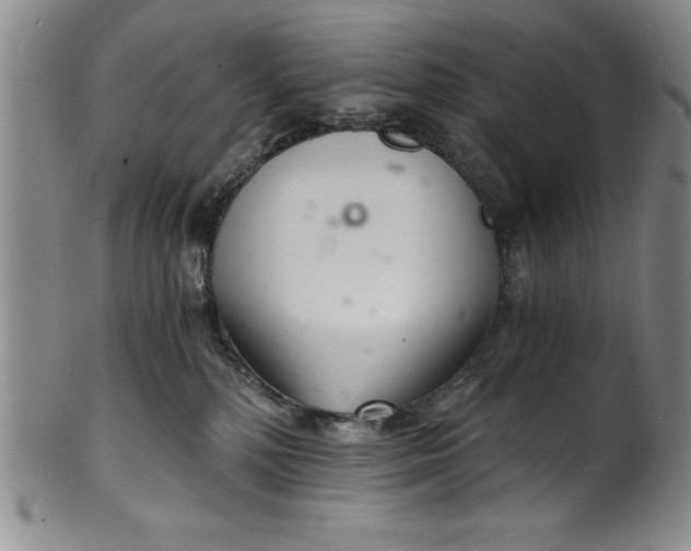 X0000102220232200808081323