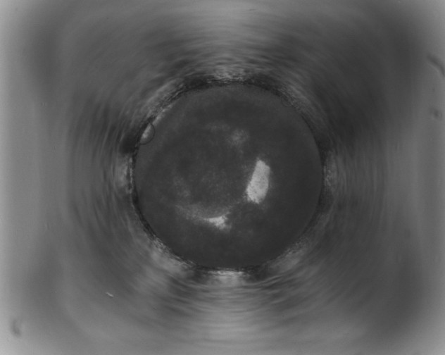 X0000102220233200808081323