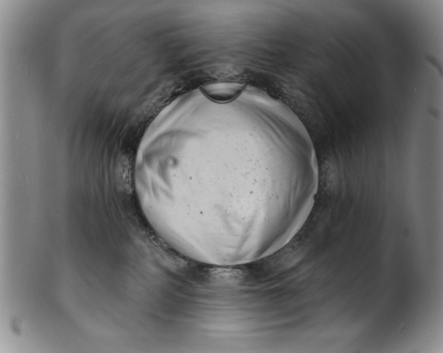 X0000102220234200808081323