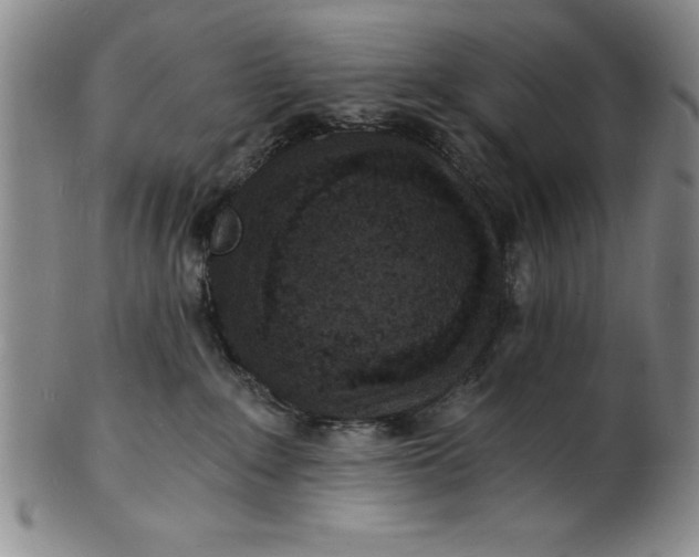 X0000102220235200808081323