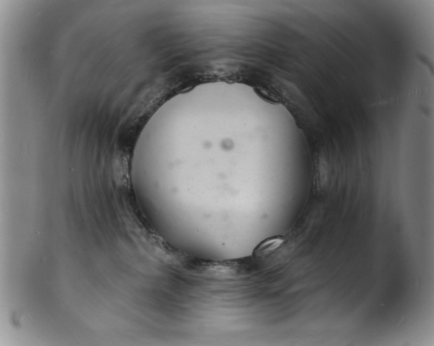 X0000102220236200808081323