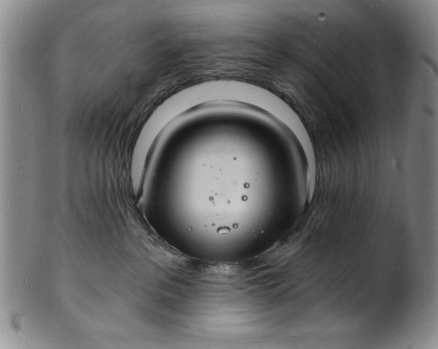 X0000102220237200808081323