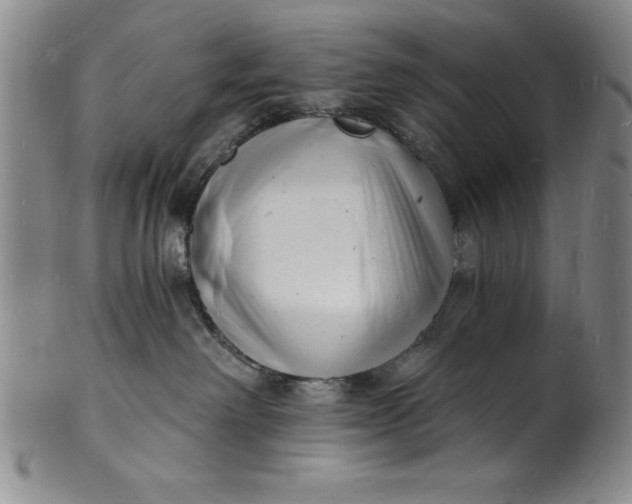 X0000102220238200808081323