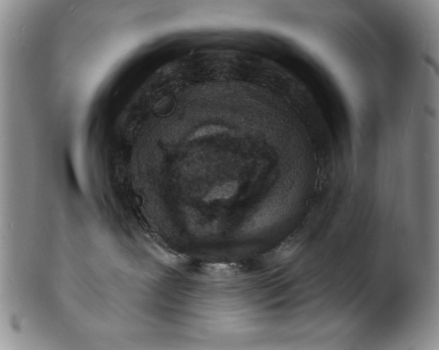 X0000102220239200808081323