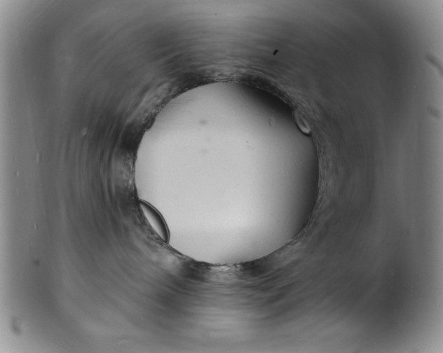 X0000102220240200808081323