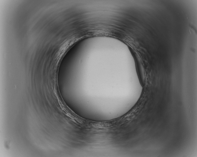 X0000102220241200808081323