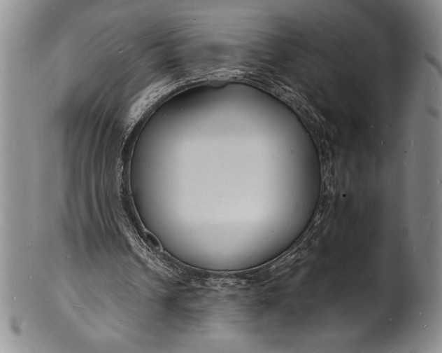 X0000102220242200808081323