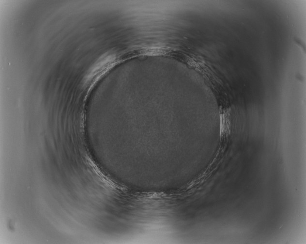 X0000102220243200808081323