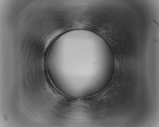 X0000102220244200808081323