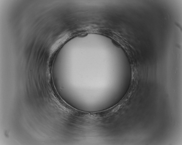 X0000102220245200808081323