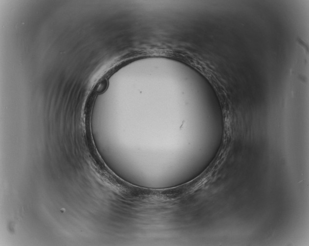 X0000102220246200808081323