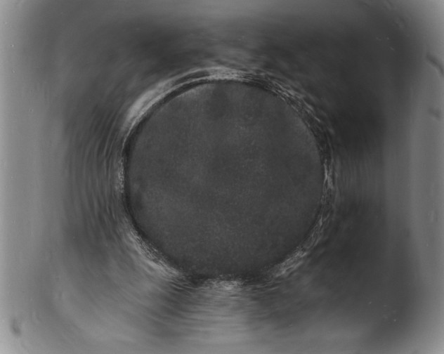 X0000102220247200808081323