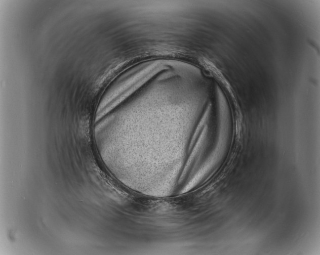 X0000102220249200808081323