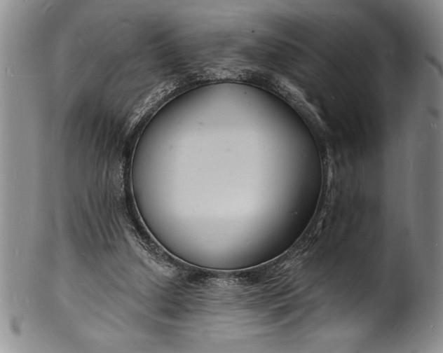 X0000102220250200808081323