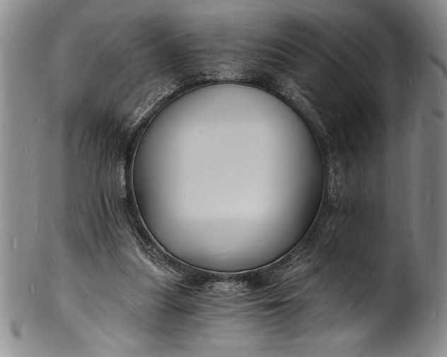 X0000102220251200808081323