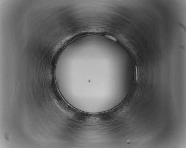 X0000102220252200808081323