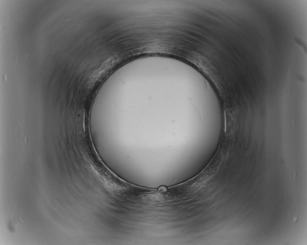 X0000102220253200808081323