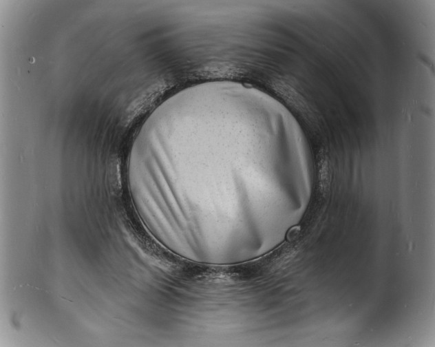 X0000102220254200808081323