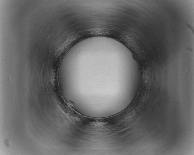 X0000102220255200808081323