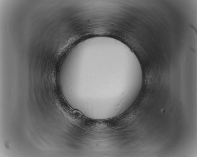 X0000102220256200808081323