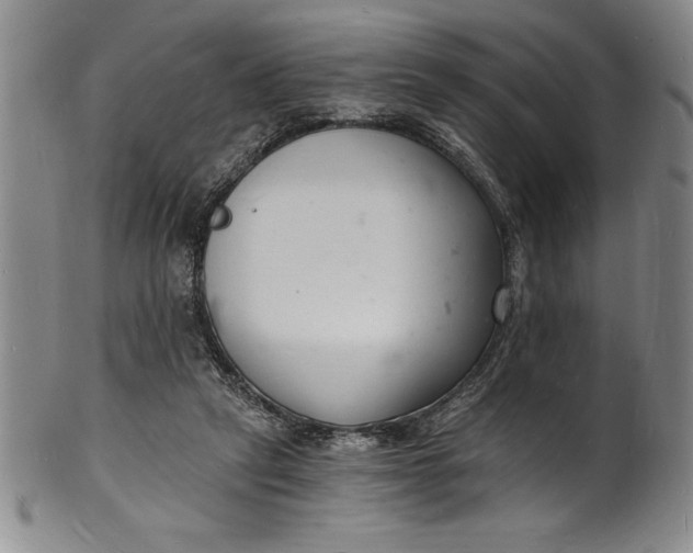 X0000102220257200808081323