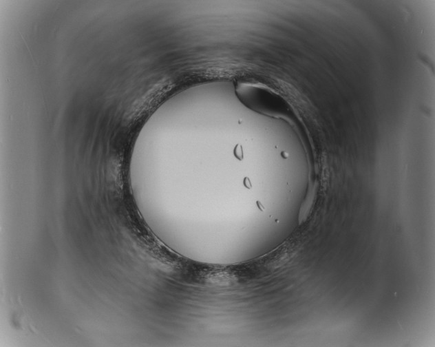 X0000102220258200808081323