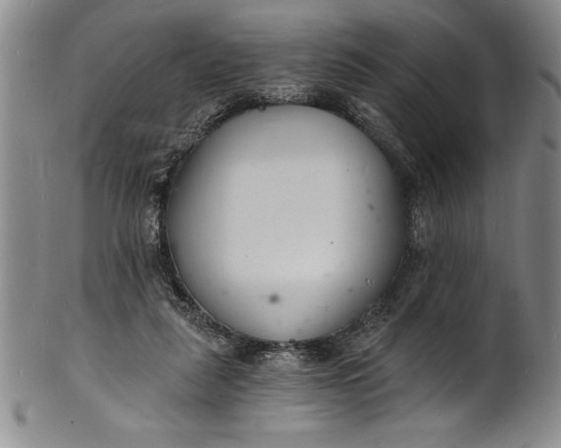 X0000102220259200808081323