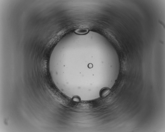 X0000102220260200808081323