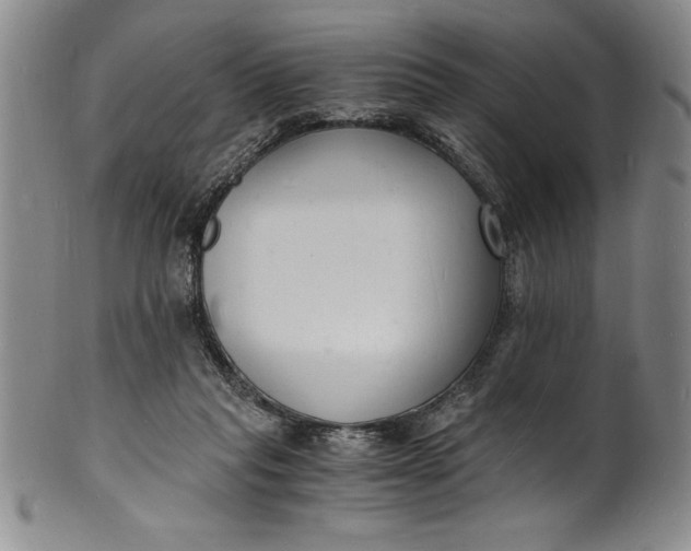 X0000102220261200808081323