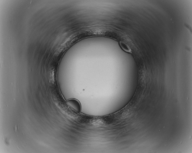 X0000102220262200808081323