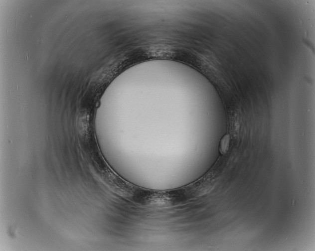 X0000102220263200808081323