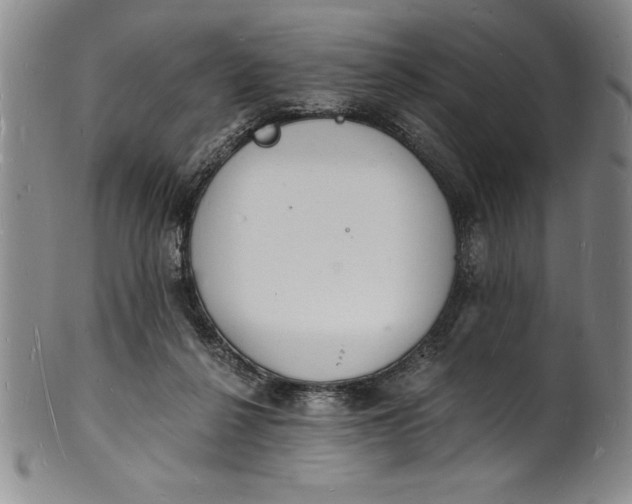 X0000102220264200808081323