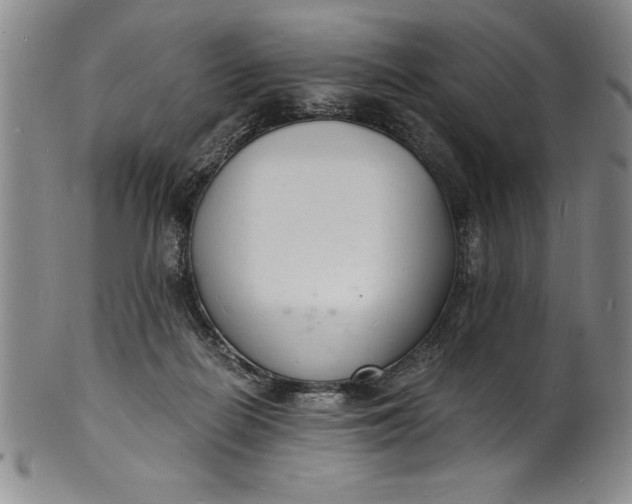 X0000102220266200808081323