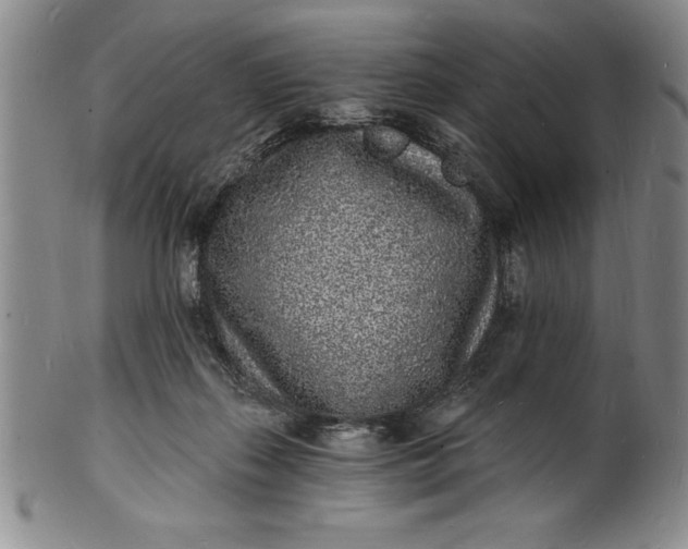 X0000102220267200808081323