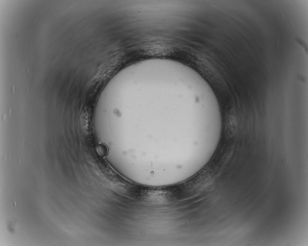 X0000102220268200808081323