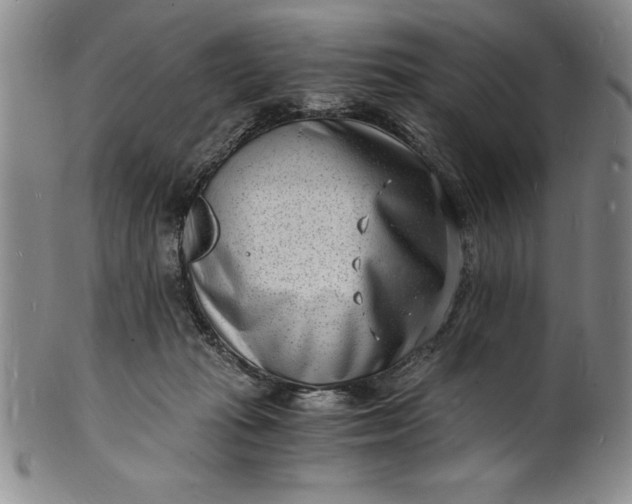 X0000102220269200808081323