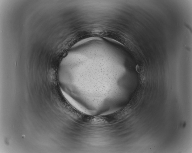 X0000102220270200808081323