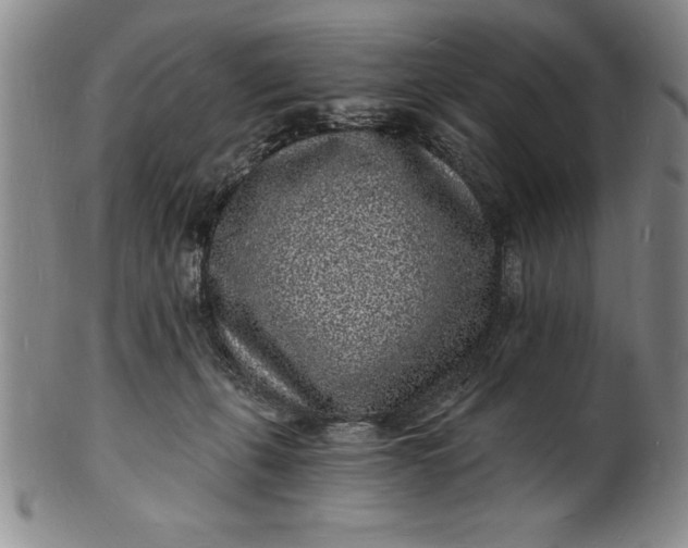 X0000102220271200808081323