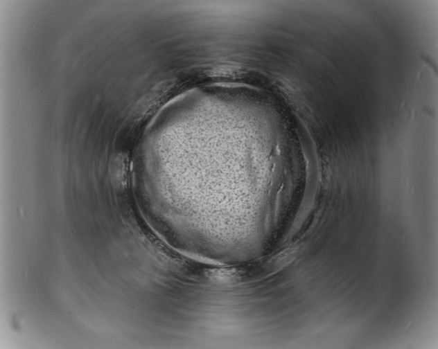 X0000102220273200808081323