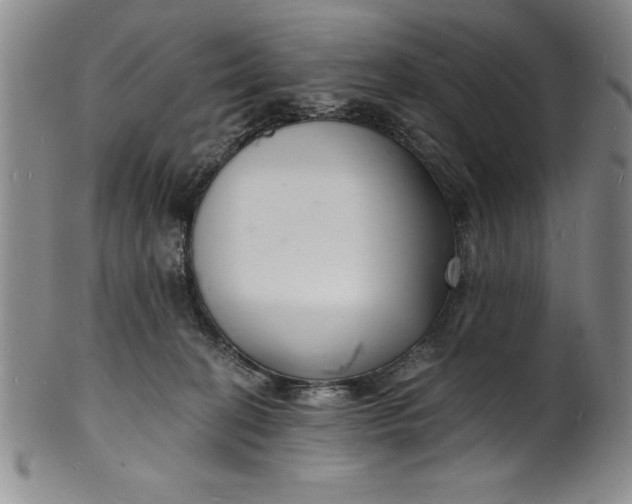 X0000102220274200808081323