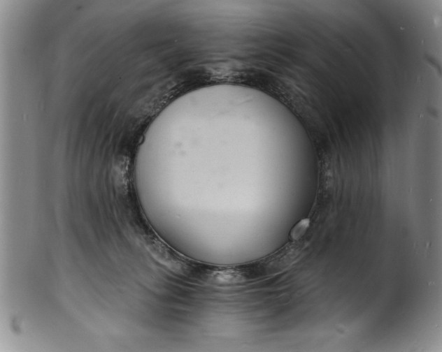 X0000102220275200808081323