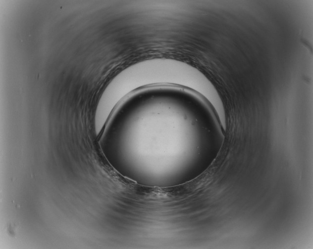 X0000102220276200808081323