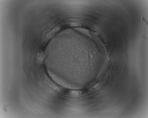 X0000102220277200808081323