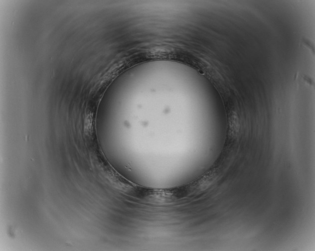 X0000102220278200808081323