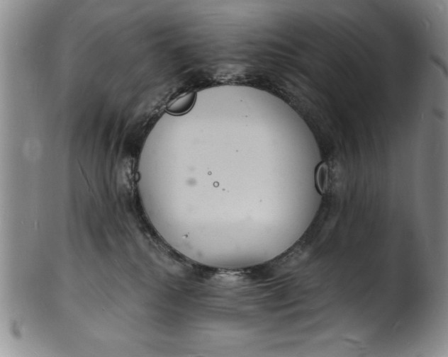 X0000102220280200808081323