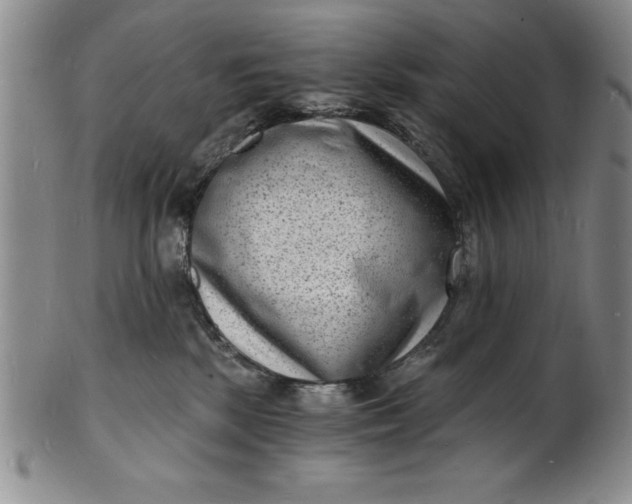 X0000102220281200808081323