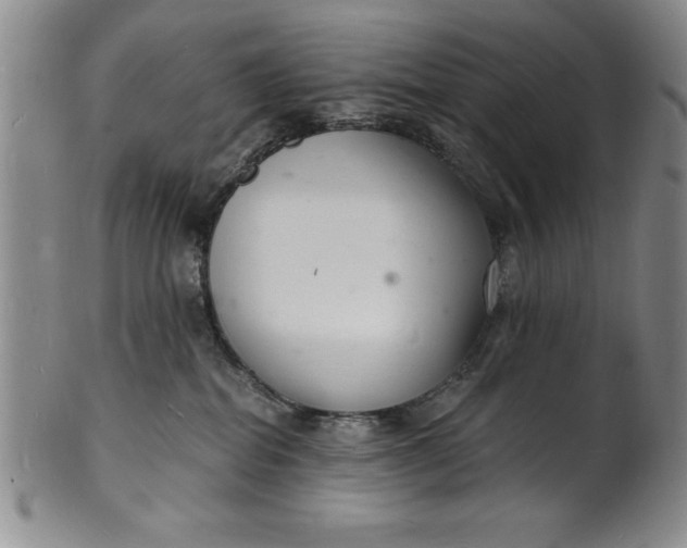 X0000102220282200808081323