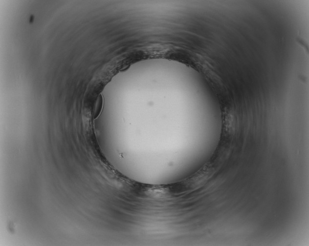 X0000102220283200808081323