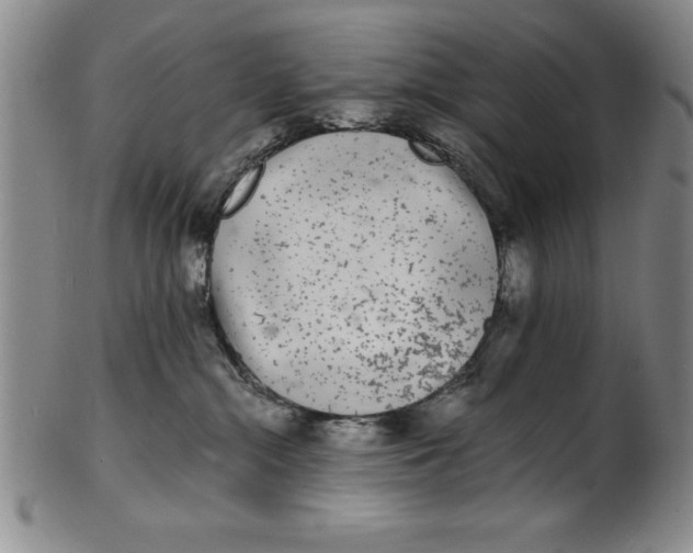 X0000102220284200808081323